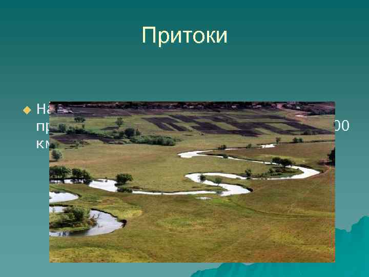 Притоки u На своем пути Дон принимает 5255 притоков, общей длиной примерно 60100 км.