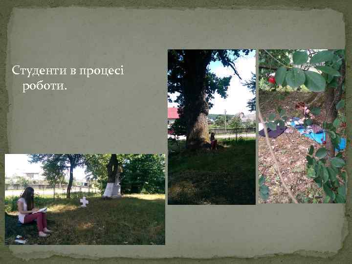 Студенти в процесі роботи. 