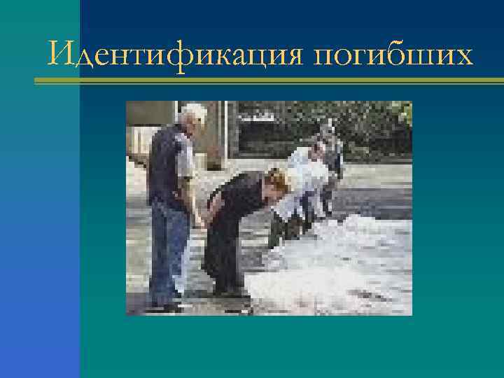 Идентификация погибших 