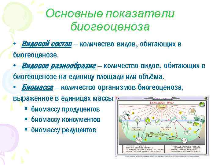 Презентация многообразие биогеоценозов 9 класс пономарева