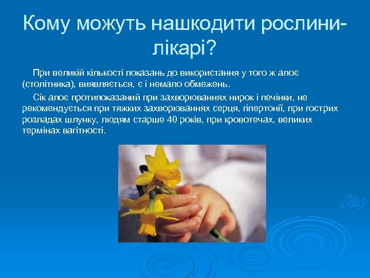 Кому можуть нашкодити рослинилікарі? При великій кількості показань до використання у того ж алоє