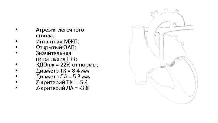  • • • Атрезия легочного ствола; Интактная МЖП; Открытый ОАП; Значительная гипоплазия ПЖ;