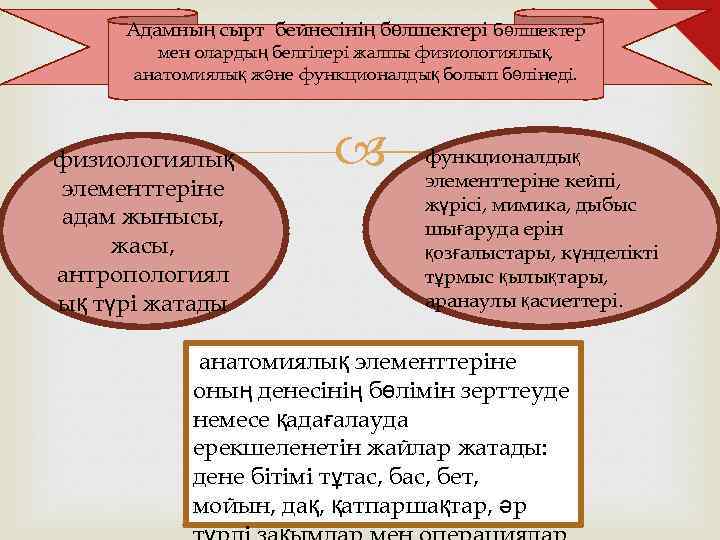 Адамның сырт бейнесінің бөлшектері бөлшектер мен олардың белгілері жалпы физиологиялық, анатомиялық және функционалдық болып