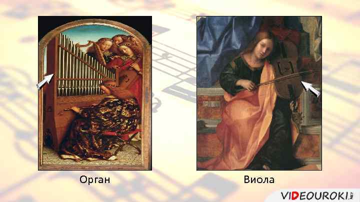 Орган Виола 