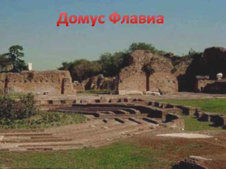 Домус Флавиа 