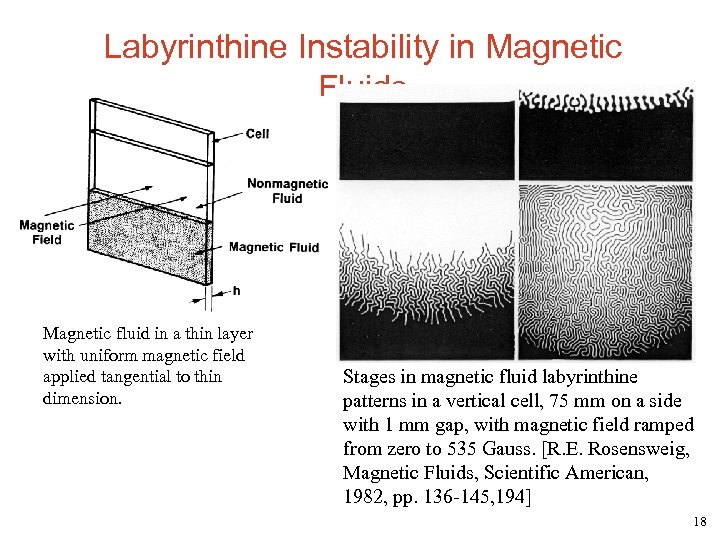 Labyrinthine Instability in Magnetic Fluids Magnetic fluid in a thin layer with uniform magnetic