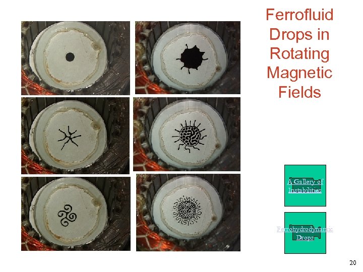 Ferrofluid Drops in Rotating Magnetic Fields A Gallery of Instabilities Ferrohydrodynamic Drops 20 