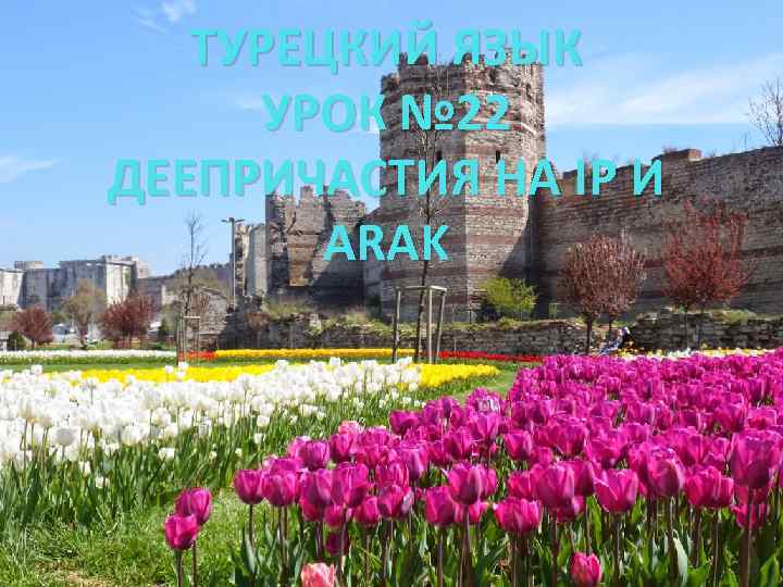 ТУРЕЦКИЙ ЯЗЫК УРОК № 22 ДЕЕПРИЧАСТИЯ НА IP И ARAK 