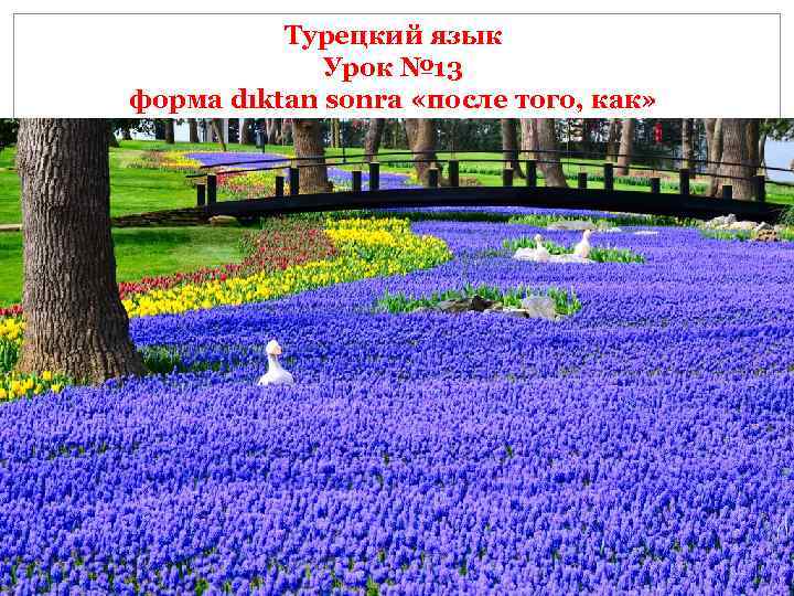 Турецкий язык Урок № 13 форма dıktan sonra «после того, как» 