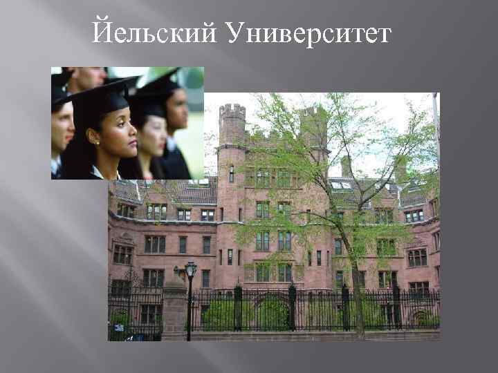 Йельский Университет 