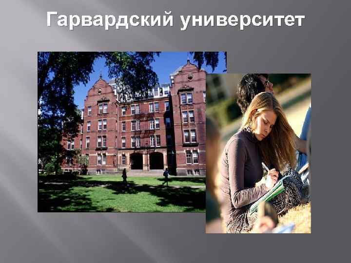Гарвардский университет 