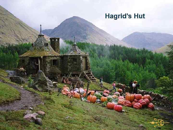 Hagrid’s Hut 11 