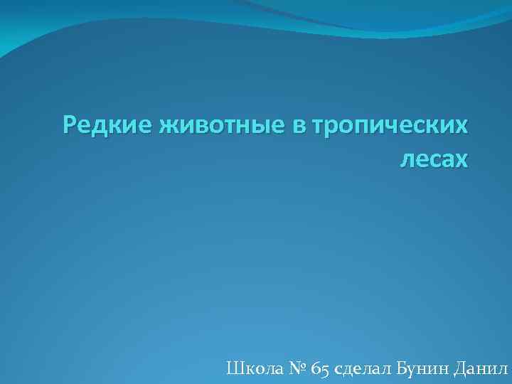 Редкие животные в тропических лесах Школа № 65 сделал Бунин Данил 