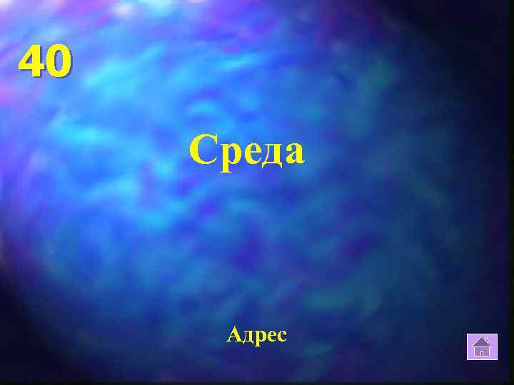 40 Среда Адрес 