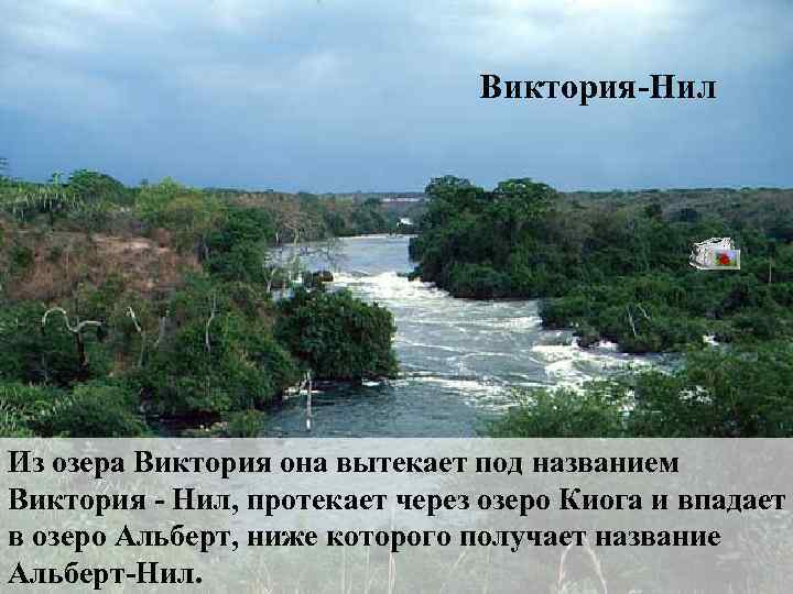 Виктория-Нил Из озера Виктория она вытекает под названием Виктория - Нил, протекает через озеро