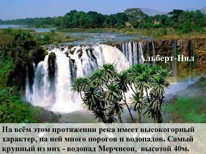 Альберт-Нил На всём этом протяжении река имеет высокогорный характер, на ней много порогов и