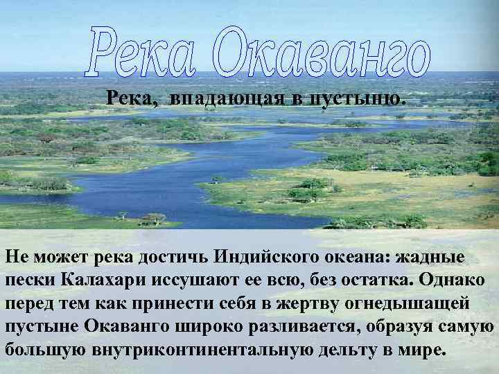 Река, впадающая в пустыню. Не может река достичь Индийского океана: жадные пески Калахари иссушают