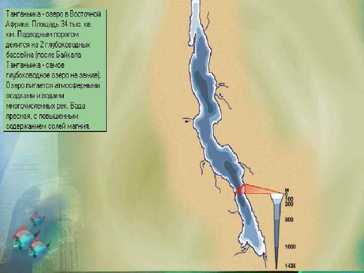 План описания озера танганьика
