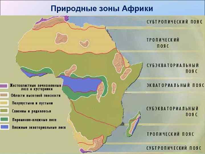 Природные зоны Африки 