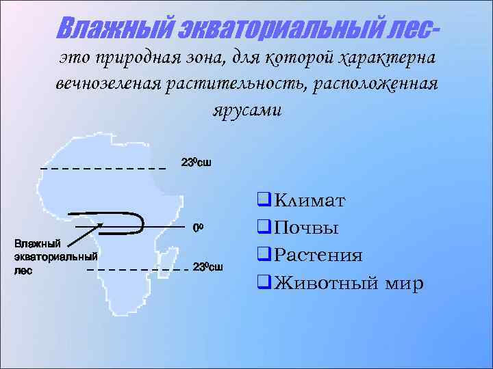 Влажный экваториальный лесэто природная зона, для которой характерна вечнозеленая растительность, расположенная ярусами 230 сш