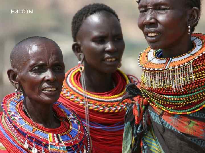НИЛОТЫ 