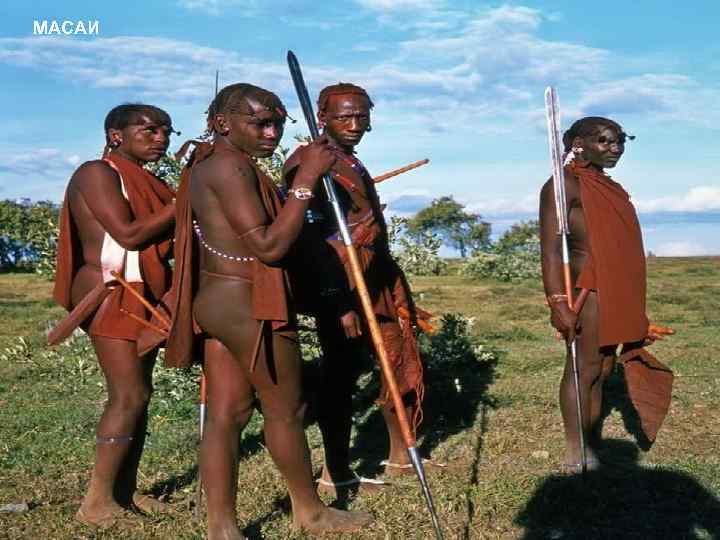 МАСАИ 