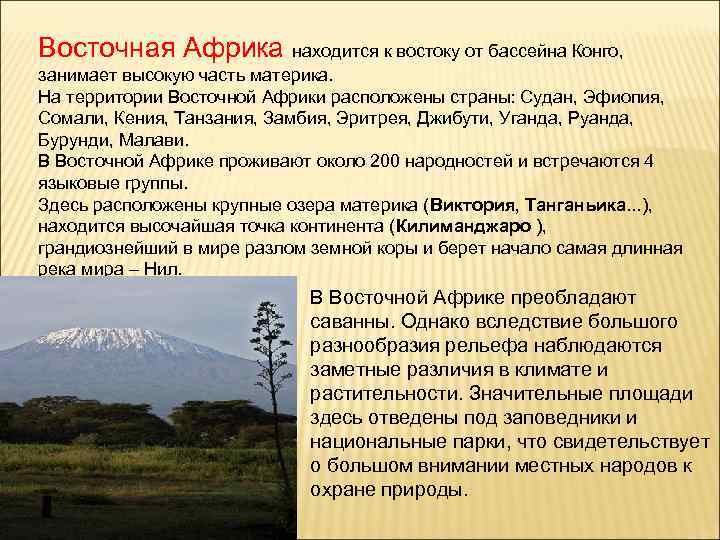 Восточная Африка находится к востоку от бассейна Конго, занимает высокую часть материка. На территории