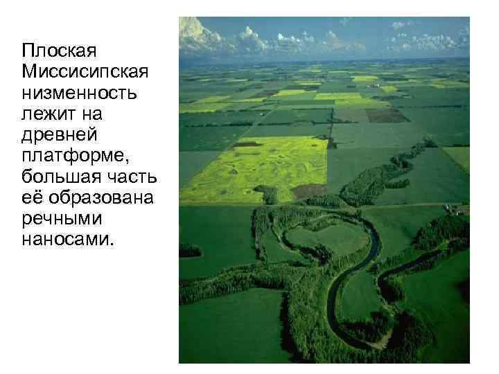 Плоская Миссисипская низменность лежит на древней платформе, большая часть её образована речными наносами. 