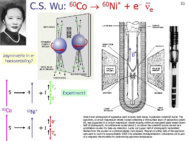 C. S. Wu: 60 Co 60 Ni* + e 60 Co 5 4 e