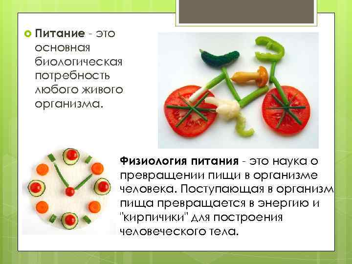  Питание - это основная биологическая потребность любого живого организма. Физиология питания - это