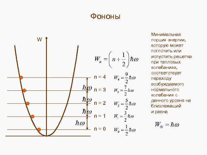 Фононы W n = 4 n = 3 n = 2 n = 1