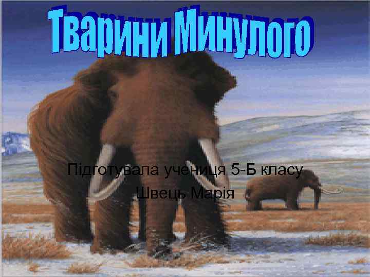 Підготувала учениця 5 -Б класу Швець Марія 
