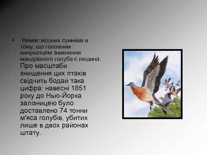 • Немає жодних сумнівів в тому, що головним винуватцем зникнення мандрівного голуба є