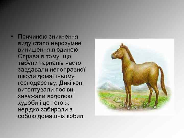  • Причиною зникнення виду стало нерозумне винищення людиною. Справа в тому, що табуни