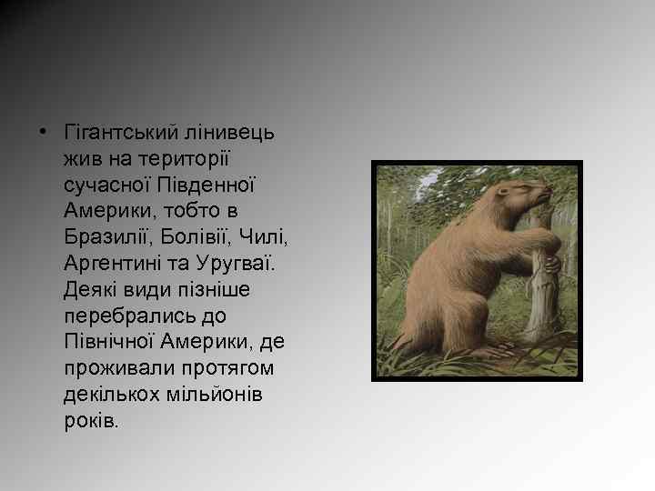  • Гігантський лінивець жив на території сучасної Південної Америки, тобто в Бразилії, Болівії,