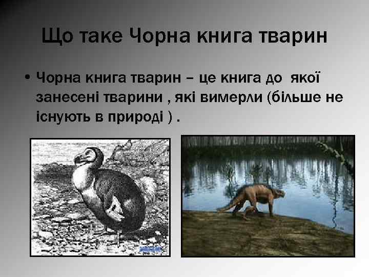 Що таке Чорна книга тварин • Чорна книга тварин – це книга до якої