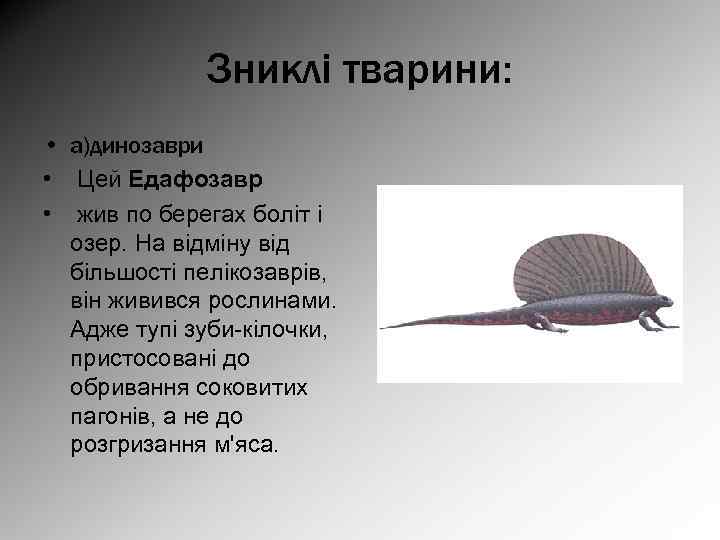 Зниклі тварини: • а)динозаври • Цей Едафозавр • жив по берегах боліт і озер.