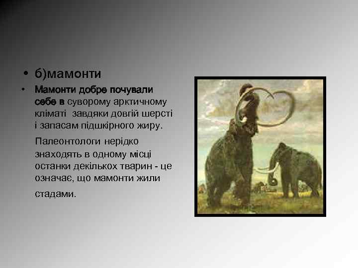  • б)мамонти • Мамонти добре почували себе в суворому арктичному кліматі завдяки довгій