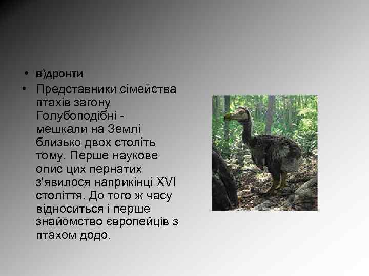  • в)дронти • Представники сімейства птахів загону Голубоподібні - мешкали на Землі близько