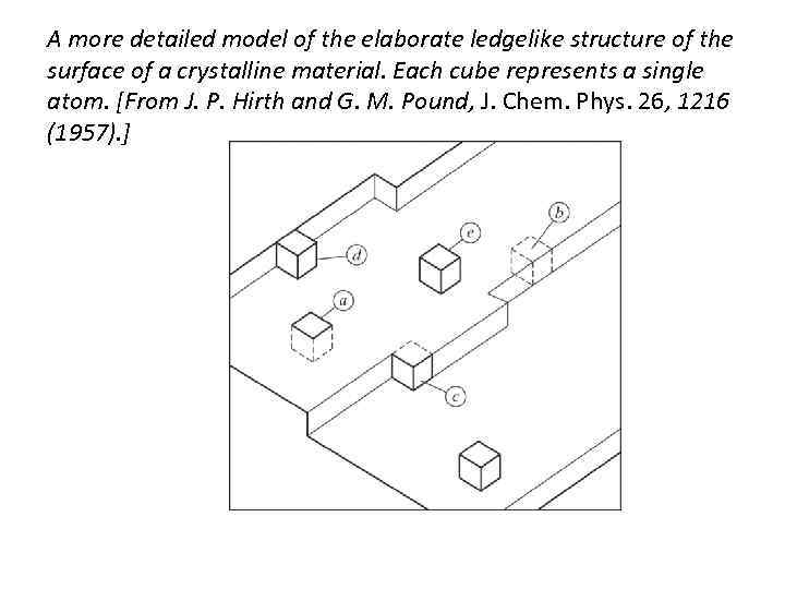 A more detailed model of the elaborate ledgelike structure of the surface of a