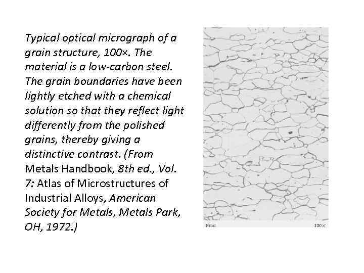 Typical optical micrograph of a grain structure, 100×. The material is a low-carbon steel.
