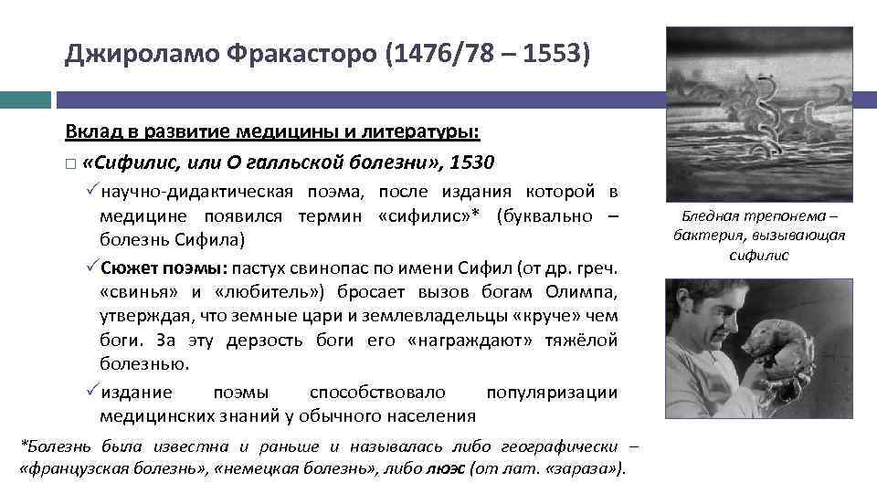Джироламо Фракасторо (1476/78 – 1553) Вклад в развитие медицины и литературы: «Сифилис, или О