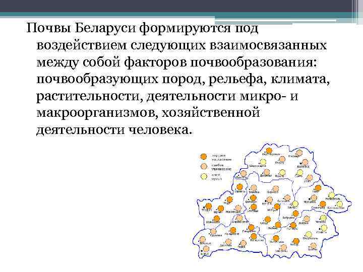 Почвы Беларуси формируются под воздействием следующих взаимосвязанных между собой факторов почвообразования: почвообразующих пород, рельефа,