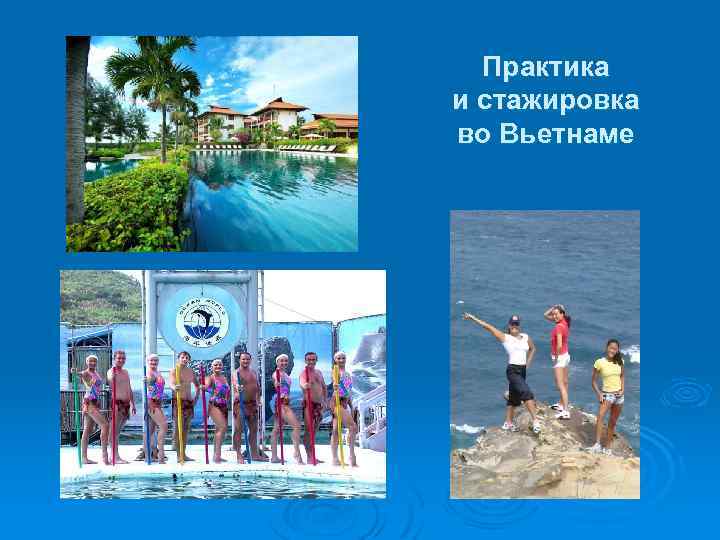 Практика и стажировка во Вьетнаме 