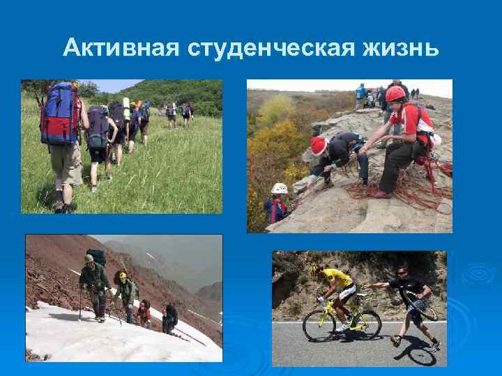 Активная студенческая жизнь 