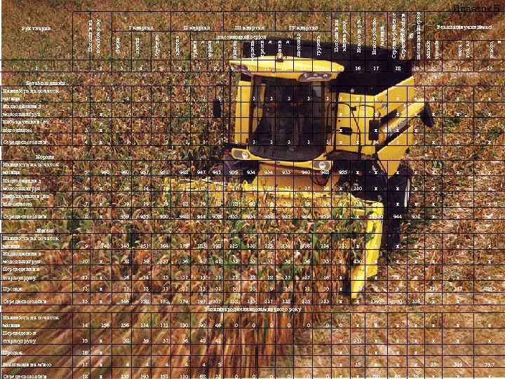 Бугаї-плідники Наявність на початок місяця Надходження з молодшихгруп Вибракування (на відгодівлю) Середнєпоголів'я Корови Наявність