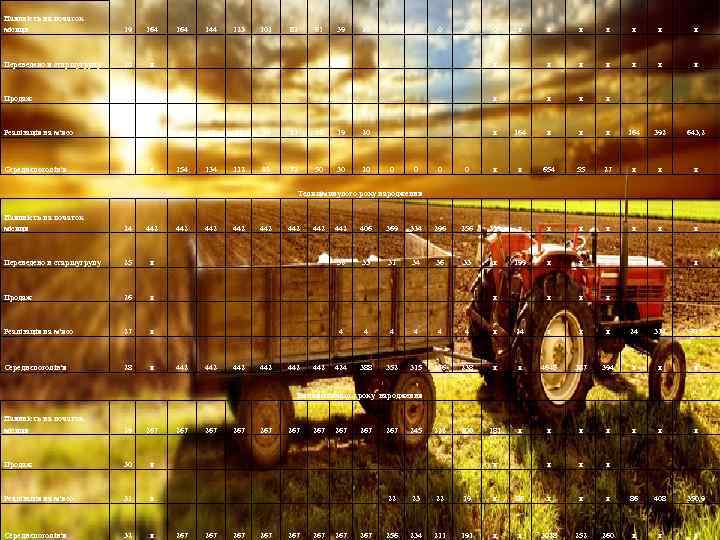 Наявність на початок місяця 19 164 144 123 101 82 61 39 20 0