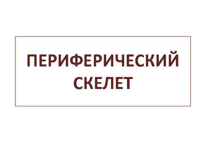 ПЕРИФЕРИЧЕСКИЙ СКЕЛЕТ 