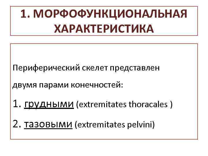 1. МОРФОФУНКЦИОНАЛЬНАЯ ХАРАКТЕРИСТИКА Периферический скелет представлен двумя парами конечностей: 1. грудными (extremitates thoracales )