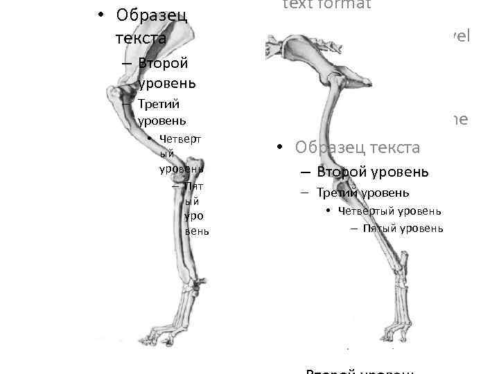  • Образец текста – Второй уровень – Третий уровень • Четверт ый уровень